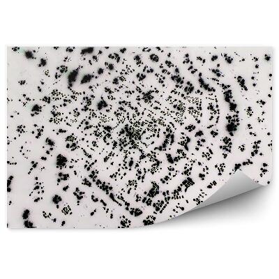 Fototapeta na stenu Chaotické čierne bodky na svetlom pozadí