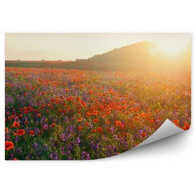 Fototapeta Lúka Makových Kvetov Strom Západ Slnka