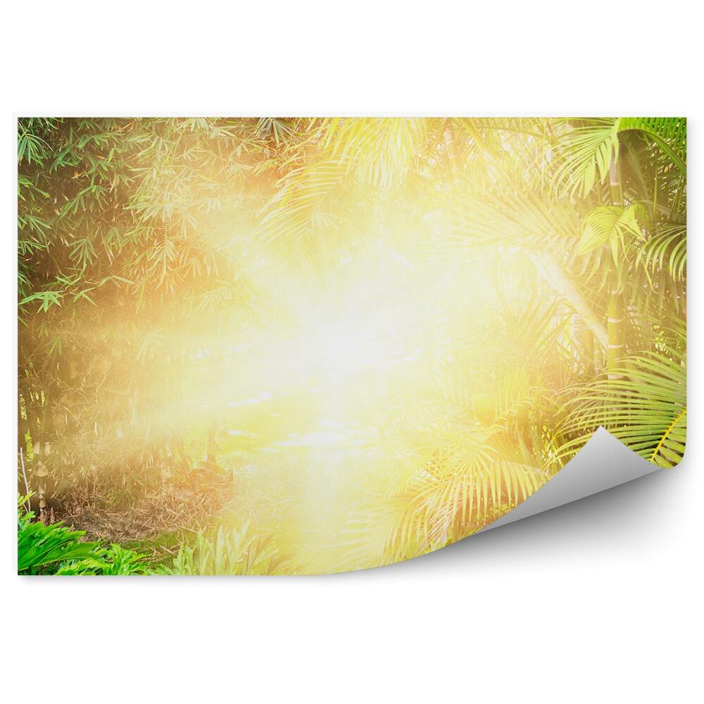 Fototapeta Západ slnka s palmovými listami