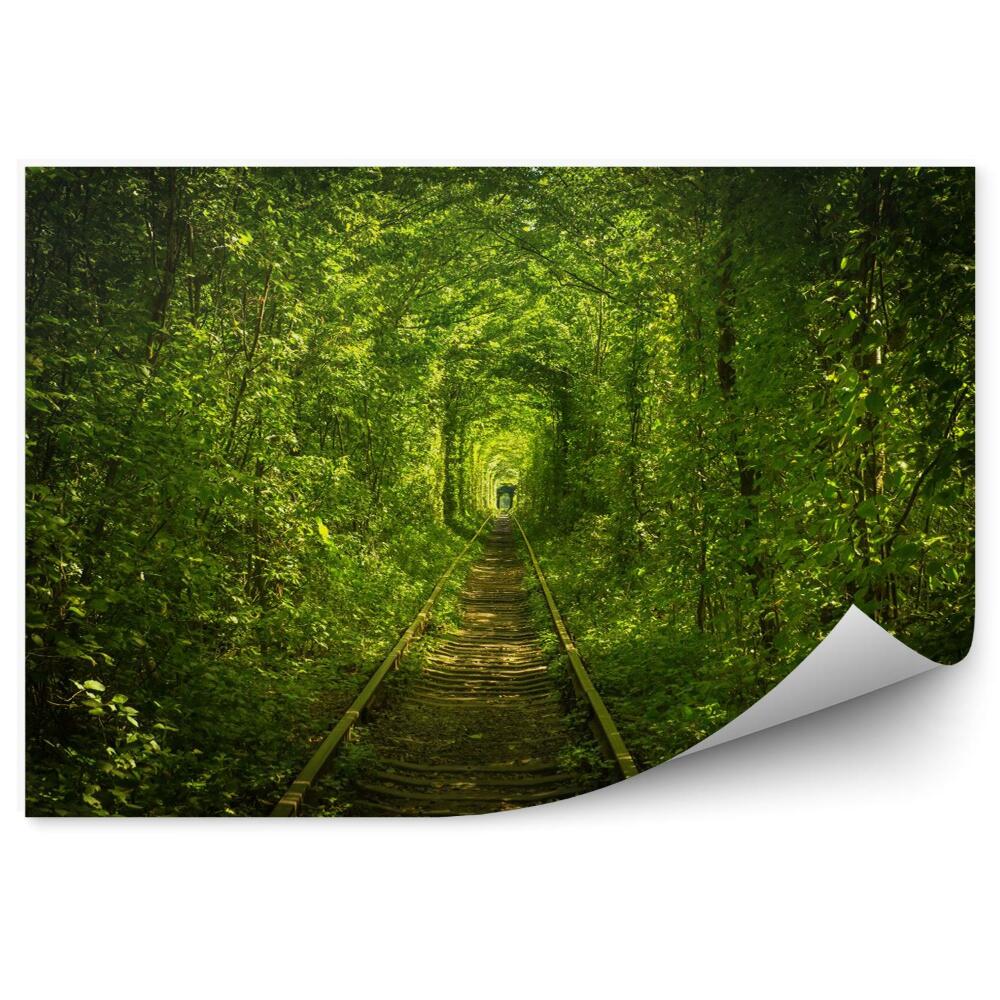 Fototapeta na stenu Starý lesný a železničný tunel
