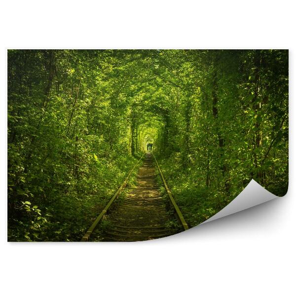 Fototapeta na stenu Starý lesný a železničný tunel