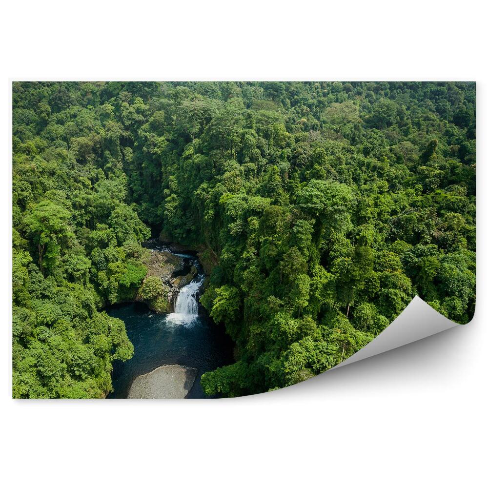 Fototapeta Les Rieka Príroda Príroda