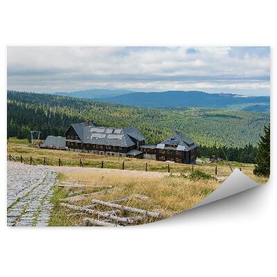 Fototapeta na stenu Horská krajina les zeleň Krkonoše