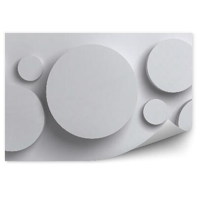 Fototapeta na stenu Vzor kruhov