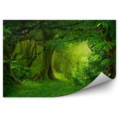 Fototapeta Tropická džungľa zelená príroda