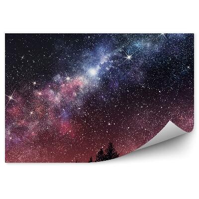 Fototapeta na stenu Ihličnaté Stromy Hviezdne Nebo Hviezdna Obloha Mliečna Dráha