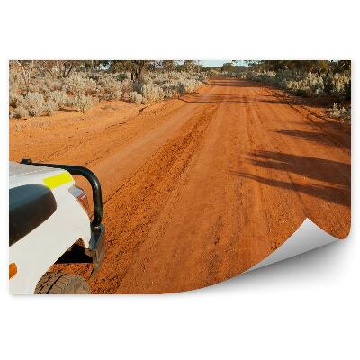 Fototapeta na stenu Cesta Piesok Príroda Vegetácia Safari