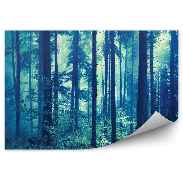 Fototapeta Modrý ihličnatý les