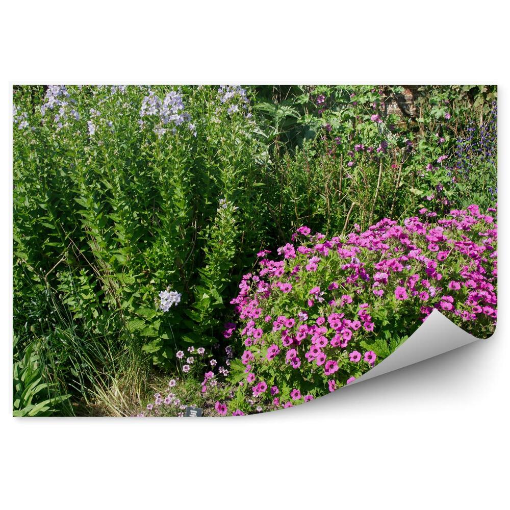 Fototapeta Záhrada farebné kvety zelené kríky