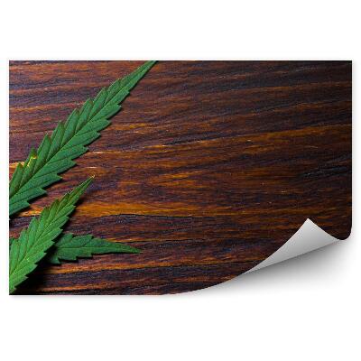 Fototapeta Konopné listy na drevenej podlahe