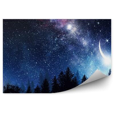 Fototapeta Ihličnaté Stromy Obloha Hviezdne Nebo Mliečna Dráha Mesiac