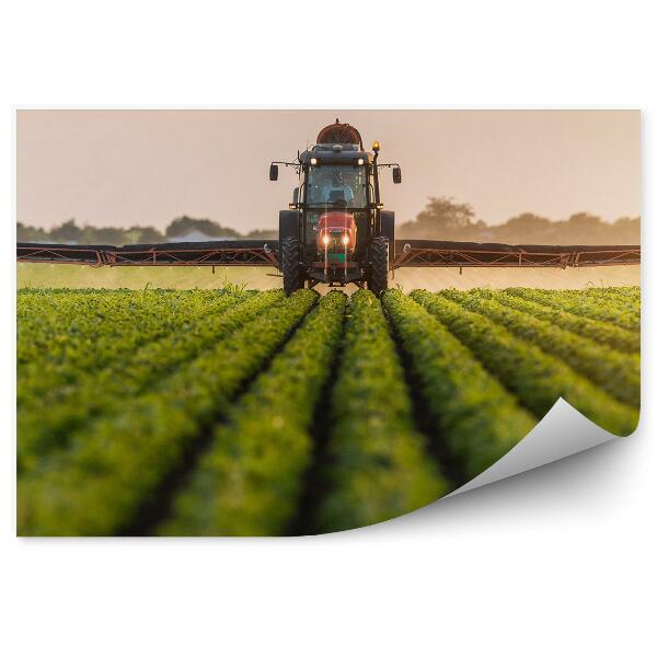 Fototapeta Traktor, ki gnoji sojo na polju