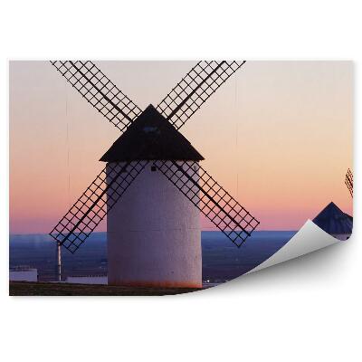 Fototapeta Mlini na veter ob mraku polja arhitektura