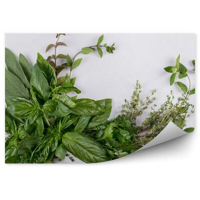 Fototapeta Zloženie byliniek bazalka tymián mäta zelená čerstvé