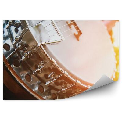 Fototapeta na stenu Strieborné banjo farby