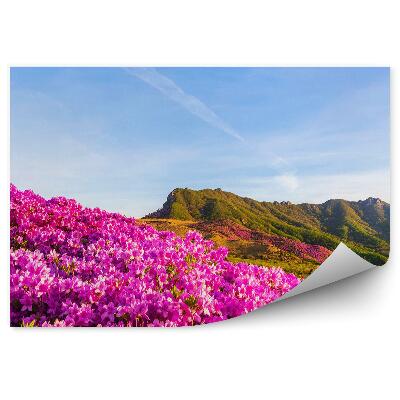 Fototapeta na stenu Hory A Azalkové Kríky