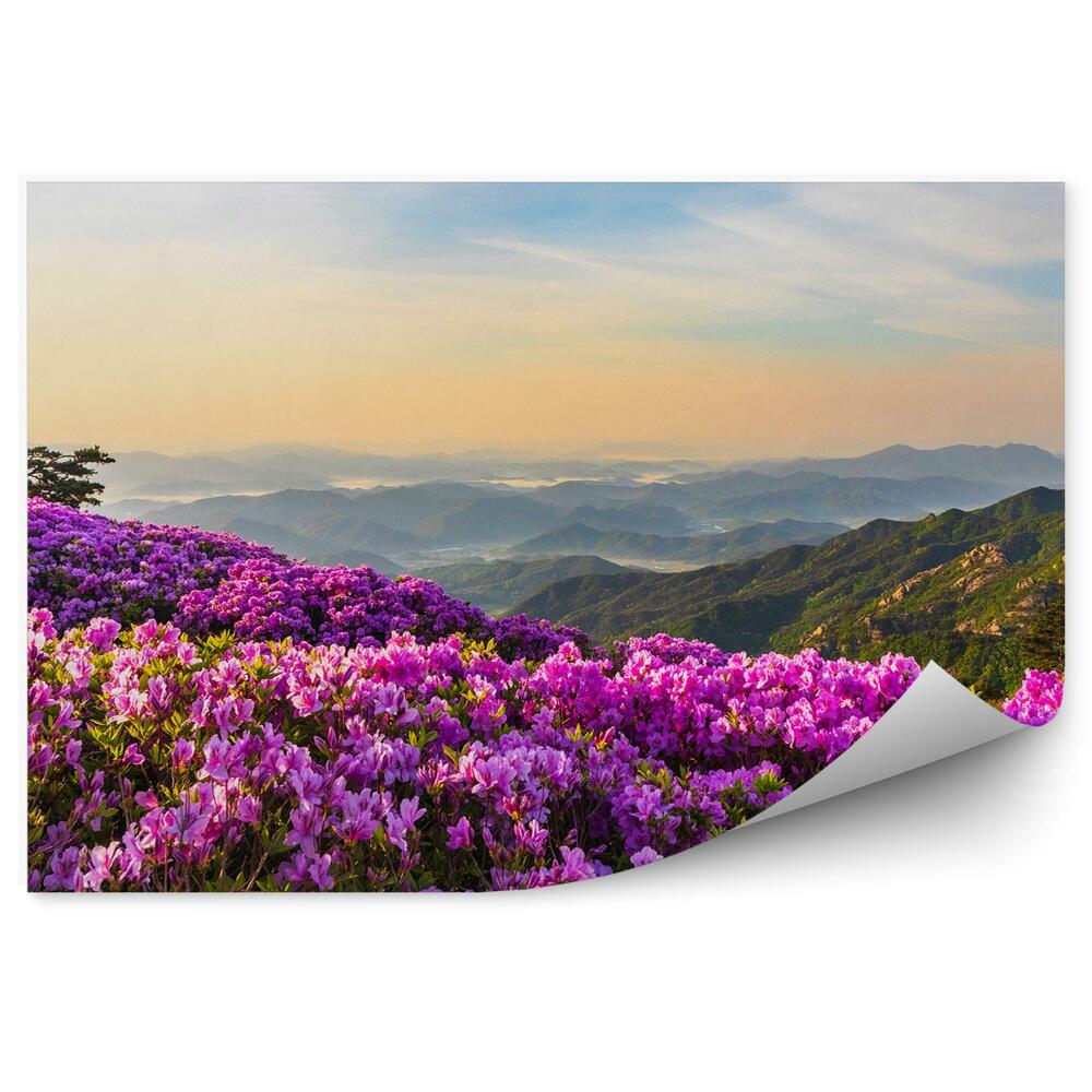 Fototapeta Horská Krajina A Rododendrony