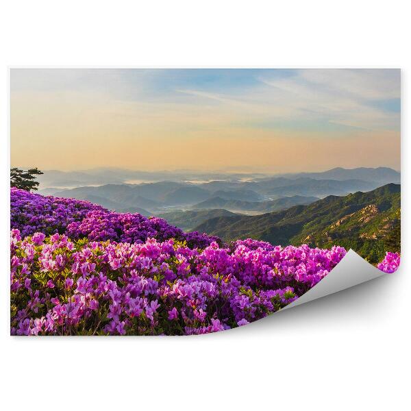 Fototapeta Horská Krajina A Rododendrony