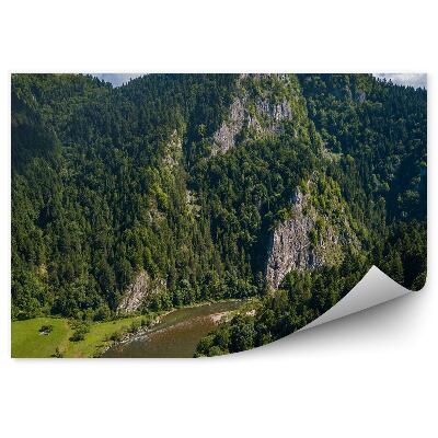 Fototapeta na stenu Pohľad na Dunajec z vtáčej perspektívy pieniny