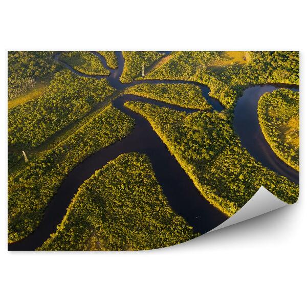 Fototapeta na stenu Pohľad na Amazóniu z vtáčej perspektívy