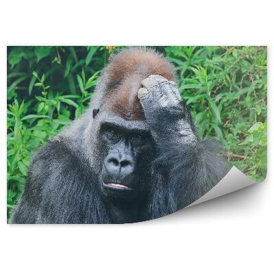 Fototapeta Introvertná gorila na pozadí tropickej vegetácie