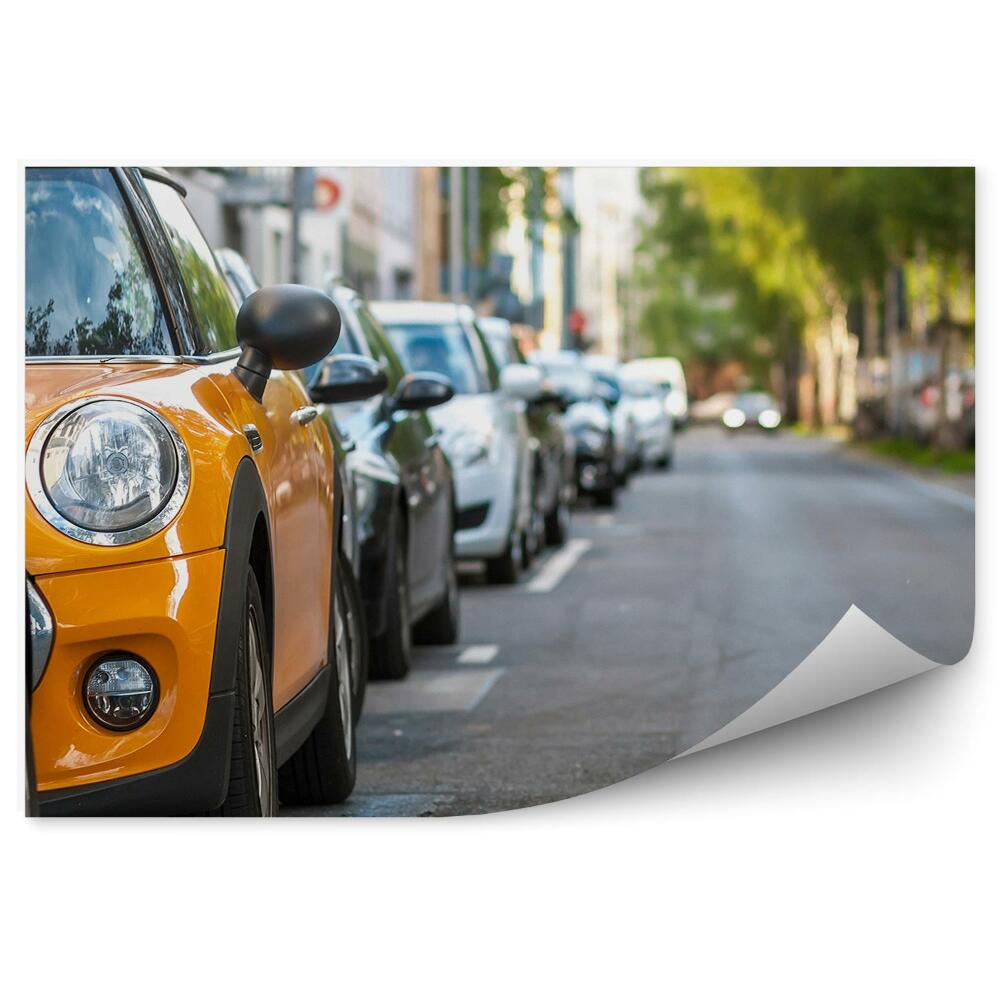 Fototapeta na stenu Mesto vrste avtomobilov, parkiranih ob cesti