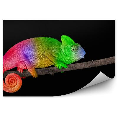 Fototapeta na stenu Jasne sfarbený chameleón