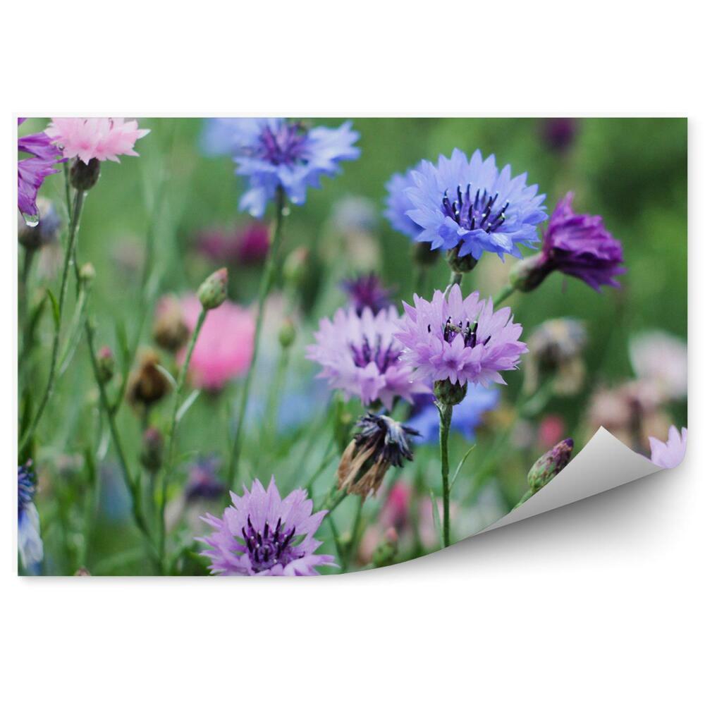 Fototapeta na stenu Zelené Kvety Lúčnych Chrústov