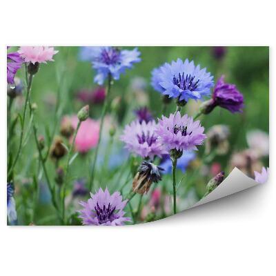 Fototapeta na stenu Zelené Kvety Lúčnych Chrústov