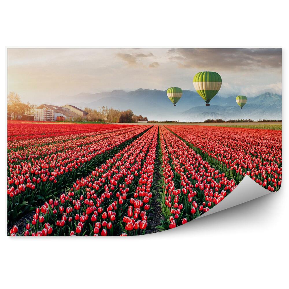 Fototapeta na stenu Krásne Pole Červených Tulipánov Obloha Mraky Balóny Hory