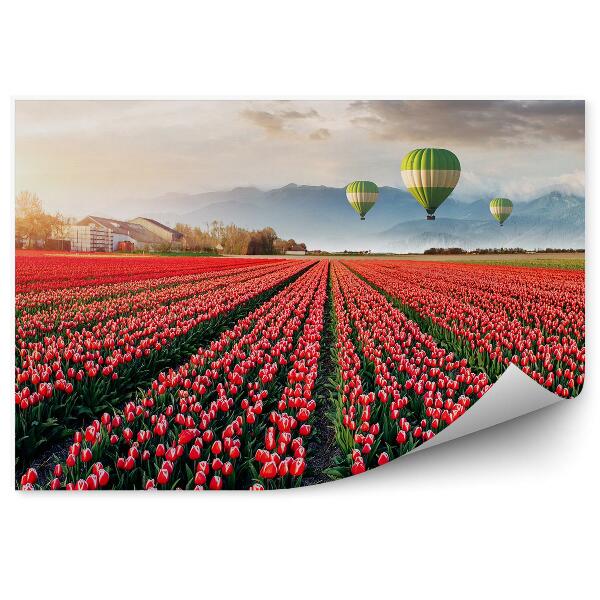 Fototapeta na stenu Krásne Pole Červených Tulipánov Obloha Mraky Balóny Hory