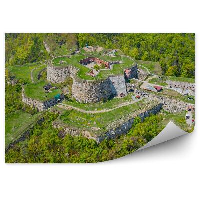 Fototapeta Pohľad z vtáčej perspektívy hory les zeleň rastliny sudety