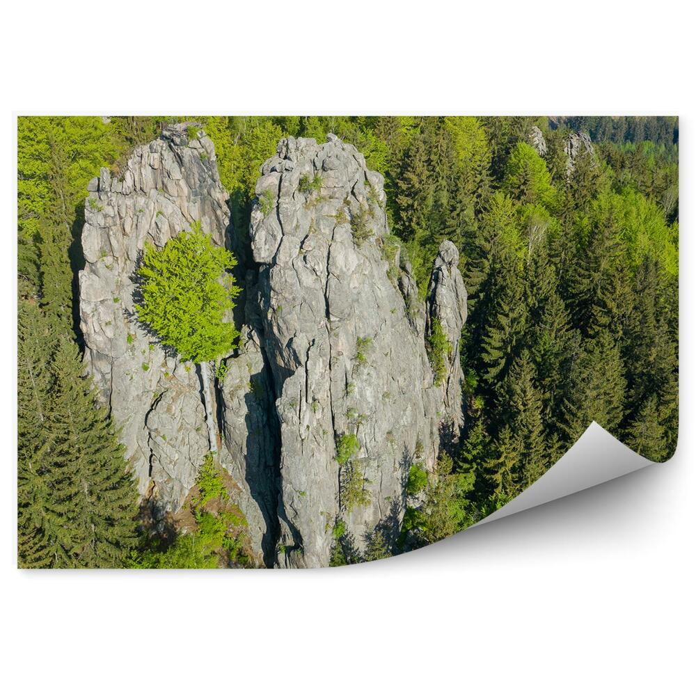 Fototapeta na stenu Vianočné stromčeky les skaly krajina sudety