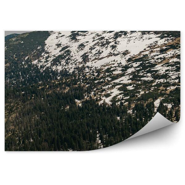 Fototapeta Panoráma hôr lesy sneh Krkonoše