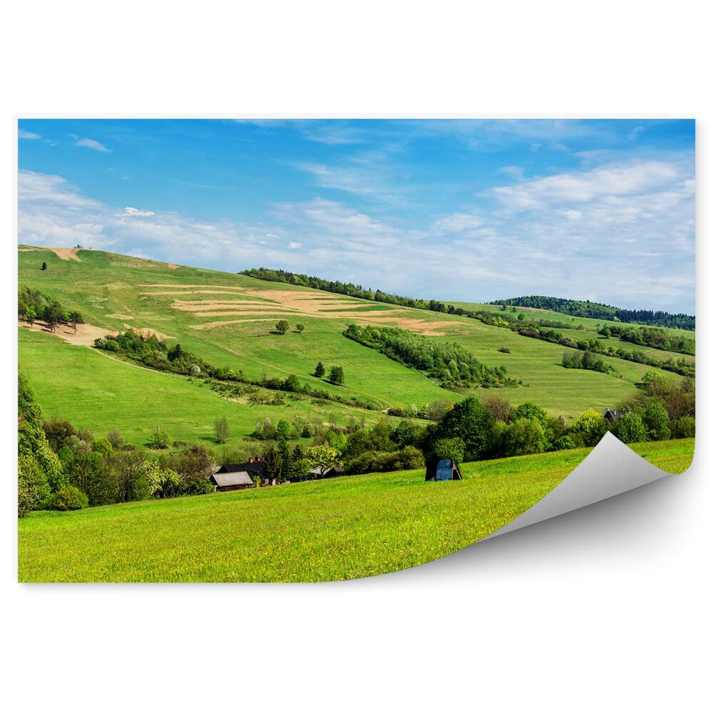Fototapeta na stenu Zilen poľana chaty stromy hory