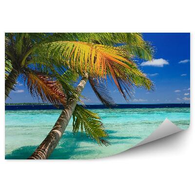 Fototapeta na stenu Palmy Vlny Voda Ostrov Exotický