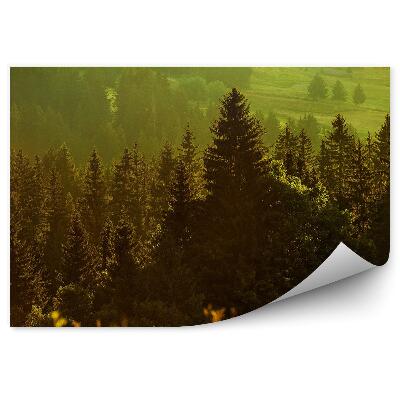 Fototapeta na stenu Ihličnatý les hory tráva