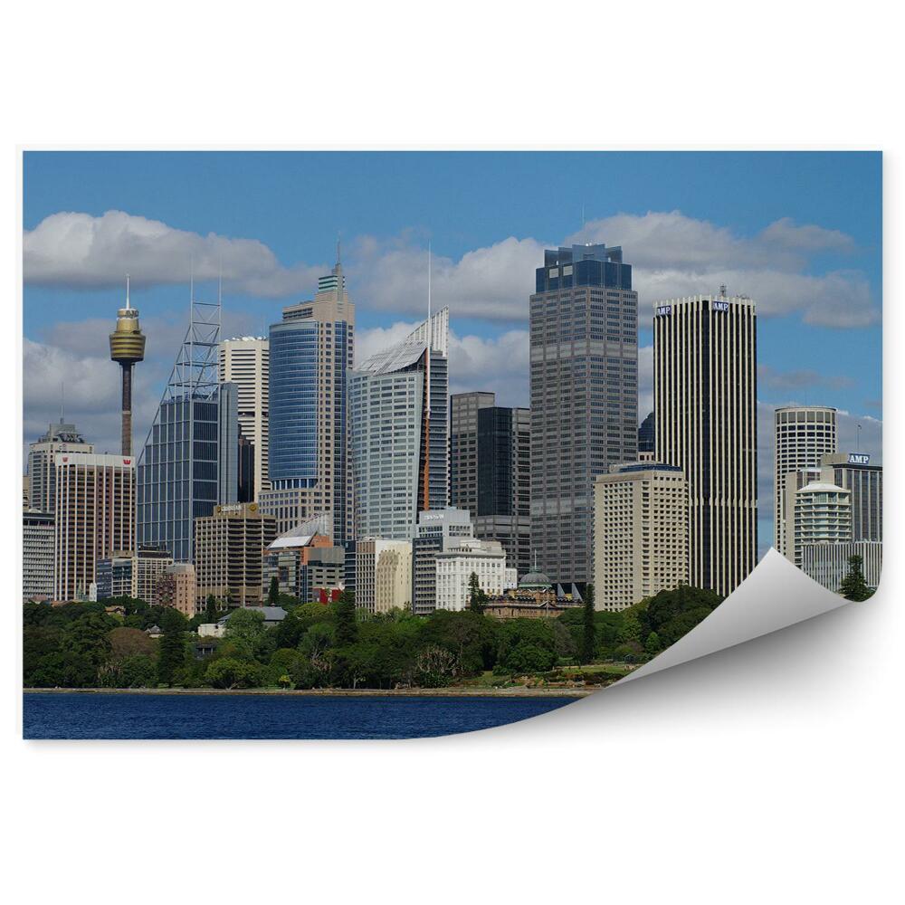 Fototapeta Mrakodrapy stromy oceán obloha mraky Sydney