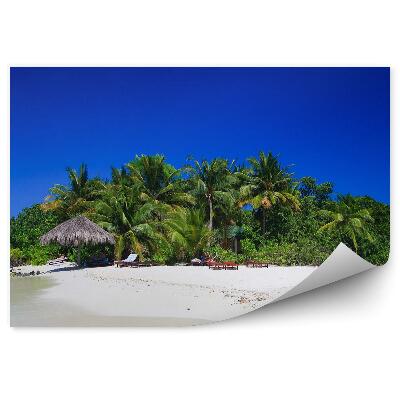 Fototapeta Tropický Ostrov Exotické Palmy