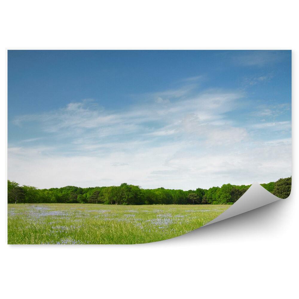 Fototapeta na stenu Zelená lúka stromy modrá obloha