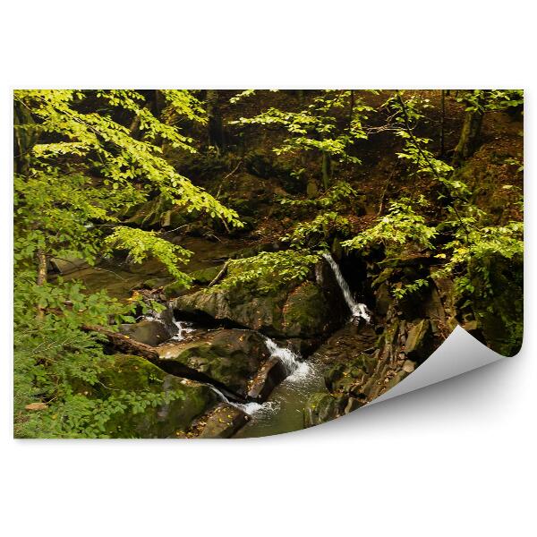 Fototapeta Lesný potok Bieszczady hory