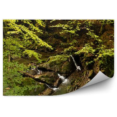 Fototapeta Lesný potok Bieszczady hory