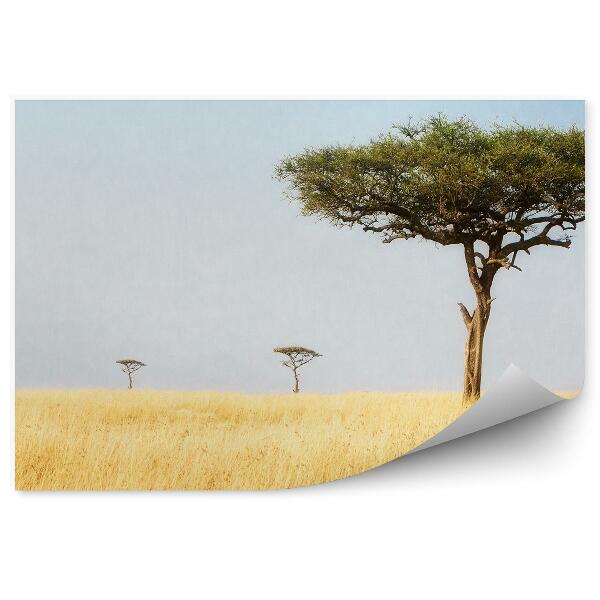 Fototapeta Krajina Stromy Príroda Afrika