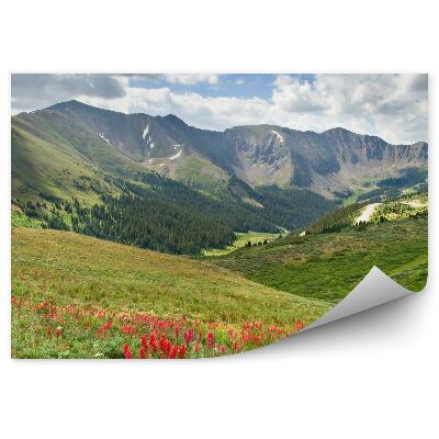 Fototapeta Alpská lúka kvety zelená vegetácia