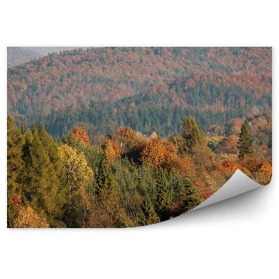 Fototapeta na stenu Jesenný les stromy pohľad z vtáčej perspektívy
