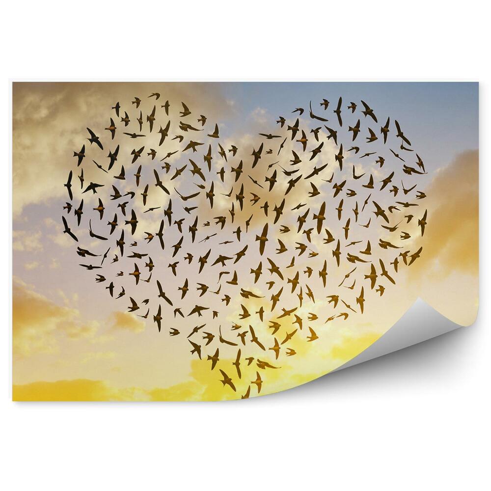 Fototapeta na stenu Vtáky Let Obloha Tvar Srdca Slnko