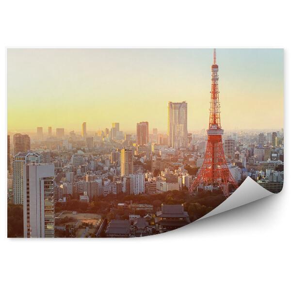 Fototapeta Pohľad z vtáčej perspektívy Tokio Japonsko