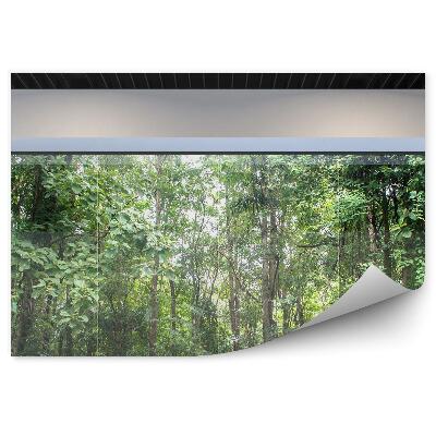 Fototapeta Izba stolička tropický les okno