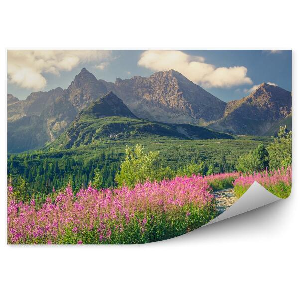 Fototapeta na stenu Tatry Pochované Hory Zelené Stromy Kvety Rastliny Cesta Obloha Mraky