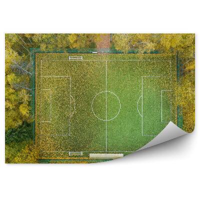 Fototapeta Pogled z vrha nogometnega igrišča